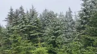 2025.05.20.1 Mt Hale