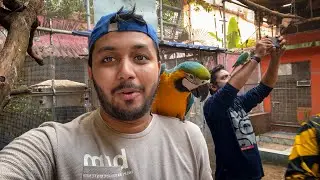 চারিদিকে শুধু পাখি আর পাখি 😍 Parrot Dipankar House Visit with @kunalbose