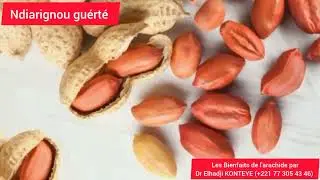 Ndiarignou guérté Les Bienfaits de l'arachide par Dr Elhadji KONTEYE