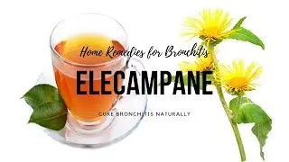 Home Remedies for Bronchitis -Elecampane can cure Bronchitis Naturally