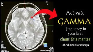 This Mantra Can Activate Gamma Brain Waves 🤯