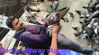 Dadar railway station 🚉🚉