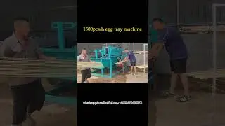 1500pcs/h paper pulp molding machine for egg tray