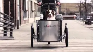nihola Dog