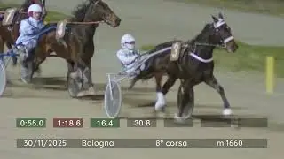 2025 11 30 | Corsa 8 | Metri 1660 | Premio Gea Gan