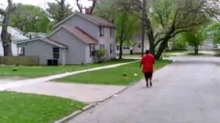 garytlyons@yahoo.com