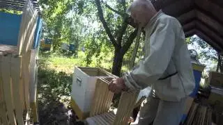 Модификации ульев, Приятеленко