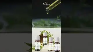 🌿 WellBe Palm Natural Drops &ndash; For Mental & Overall Wellness 🌿