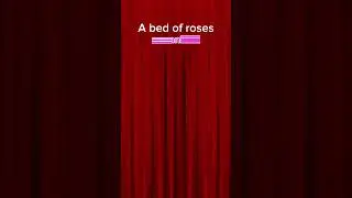 A bed of Roses Idiom #shorts