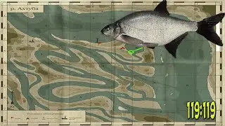 рр4  река Ахтуба Лещ Восточный. Akhtuba river Eastern bream rf4