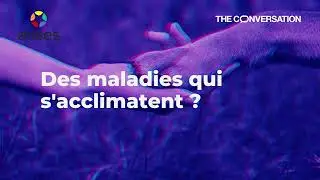 #4 Podcast : Des maladies qui s’acclimatent ?