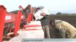 17.04.2017 - Задел на урожай