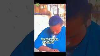 Man Messed With the Wrong Lion! #instantregret