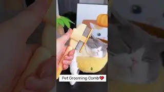 🔥🐈🐶Hottest selling pet products in 2025 #shorts #shopify #pets #tiktok #dropshipping #ecommerce