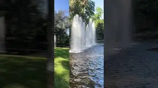 The Fountain at the Botanical Gardens in Darwin