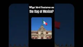 Which Bird Is on the Mexican Flag? 🇲🇽 | Flag Quiz Challenge