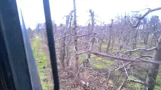 Wygarnianie i rozdrabnianie galezi po cieciu seppim 175