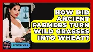 How Did Ancient Farmers Turn Wild Grasses Into Wheat? - Firsts of the World