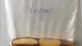Dr. Pi presents - Apple Oxidation Experiment