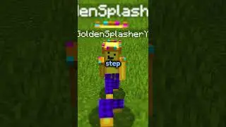 The ACTUAL Best Armor In Minecraft