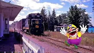 Wario tries to play chicken with train at Alden Michigan gets hit and dies