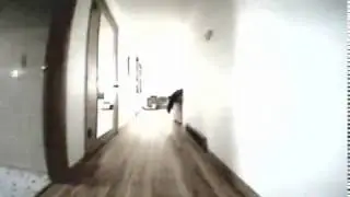 SPCMAKER SPC 90x 1S Quad copter in home flight