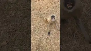 This Could Have Gone Wrong!