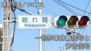 【更新・撤去済】【鎌倉市雪ノ下3丁目】一部歩車分離信号と予告信号 @岐れ路(わかれみち)