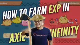 how to farm EXP -  Axie Infinity leveling guide