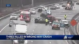 Dogs missing since deadly I-85 crash spotted in Greenville neighborhood
