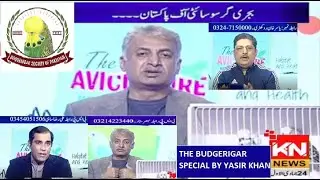 THE BUDGERIGAR SPECIAL- interview with Mobassir Sattar & Ali-Sahi on KN-News by Yasir Khan Rockri