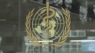 WHO expert backtracks from comment: Asymptomatic spread 'rare'