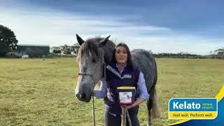 ZanoBOLIC Concentrate can help your horse develop lean muscle, topline and improve coat condition.