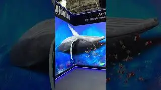 Whale comes to life with the future of tech displays.. Extended reality!