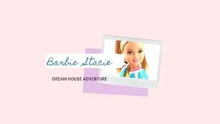 Barbie Travel Stacie Doll and Accessories Set
