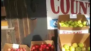 Poor Farmer's Market, Meadows-of-Dan, Blue Ridge Parkway, Virginia
