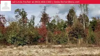 0000 Farnum Road, Orangeburg, SC 29118 - MLS #449122