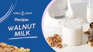 Easy Homemade Walnut Milk Recipe with Milky Plant Machine | Creamy Nut Milk Delight 🥛