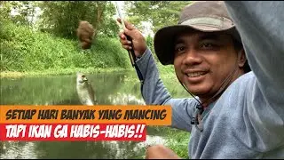 mancing wader kepek di spot andalan masih menjanjikan