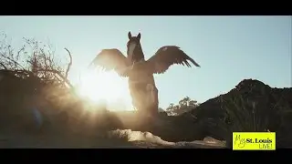 What's Trending? Budweiser Super Bowl Ad