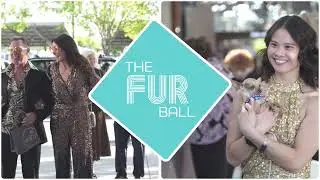 HSSV Fur Ball Sizzle Reel 2025