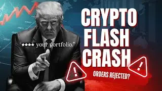 The 2025 Flash Crash: Rejected Trades, Leverage Wiped, Who Profited?