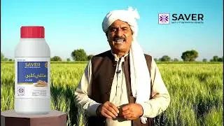 Why Every Pakistani Farmer Trusts Multi Clean for Wheat Crops