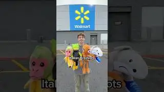 I Hid 4 Italian Brainrots at Walmart