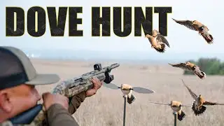 Эпический хаос охоты на голубей!!!! Поле было забито до отказа!!!