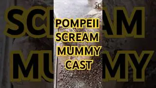 The Pompeii Scream Mummy Cast #mummy #Italy #Pompeya