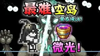 【黑桃的泰拉瑞亚之旅】在一格方块通关泰拉瑞亚灾厄MOD？！（6）