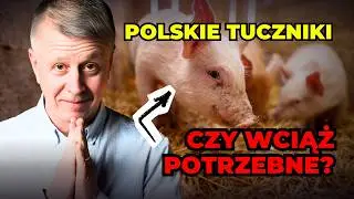 Nadchodzi trudny rok dla rolnictwa? Prognozy rynku trzody 2026