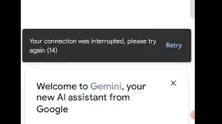 How to fix Your connection was interrupted please try again (14) gemini ai app