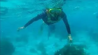 Stingray City - Jetski Tour | Cayman Islands